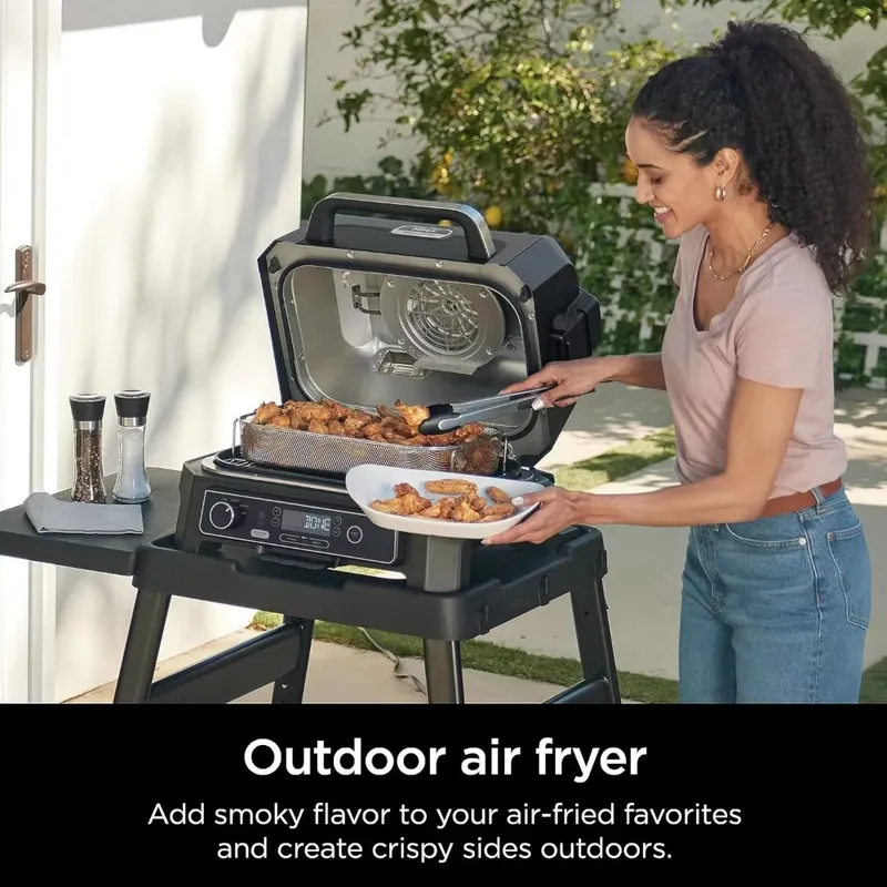 Woodfire ProXL 4-in-1 Outdoor  - Electric Smoker Bbq ulasan dan harga