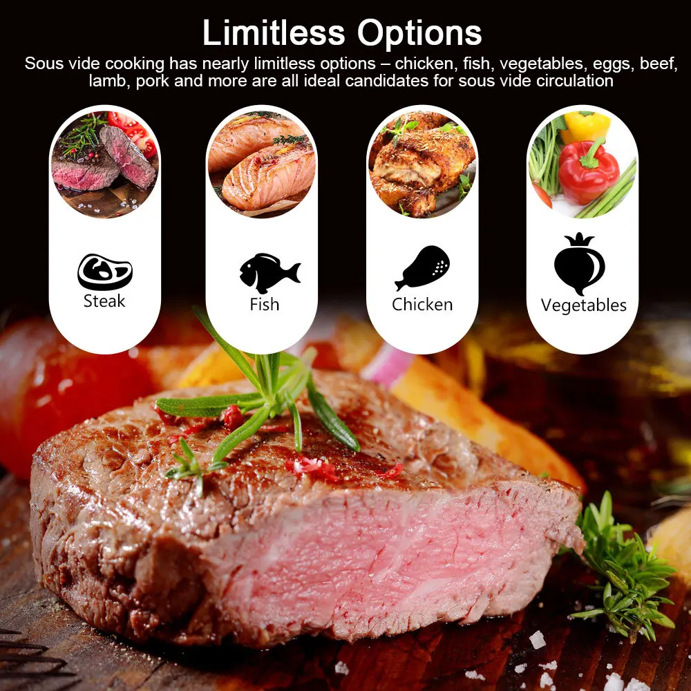 1100W Vacuum Sous Vide Cooker  - Sous Vide Immersion ulasan dan harga