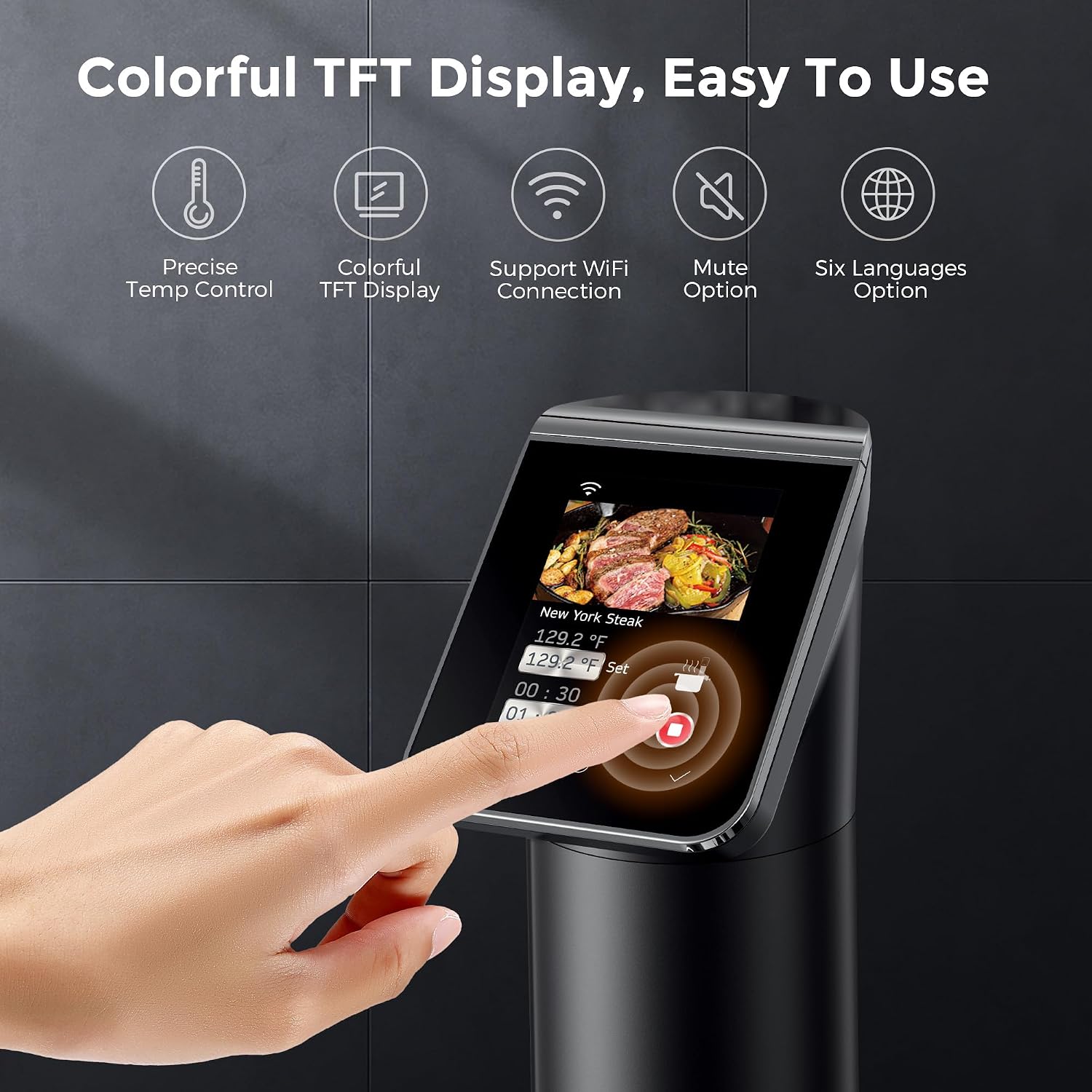 1100W Black WiFi Sous Vide Coo - Sous Vide Immersion ulasan dan harga