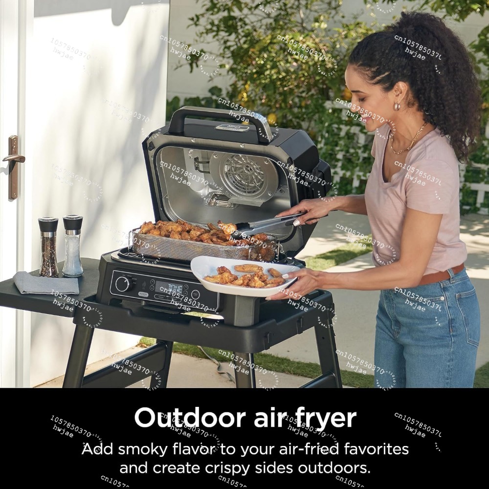 Ninja Wood--ireProXL 4-in-1 Ou - Electric Smoker Bbq ulasan dan harga