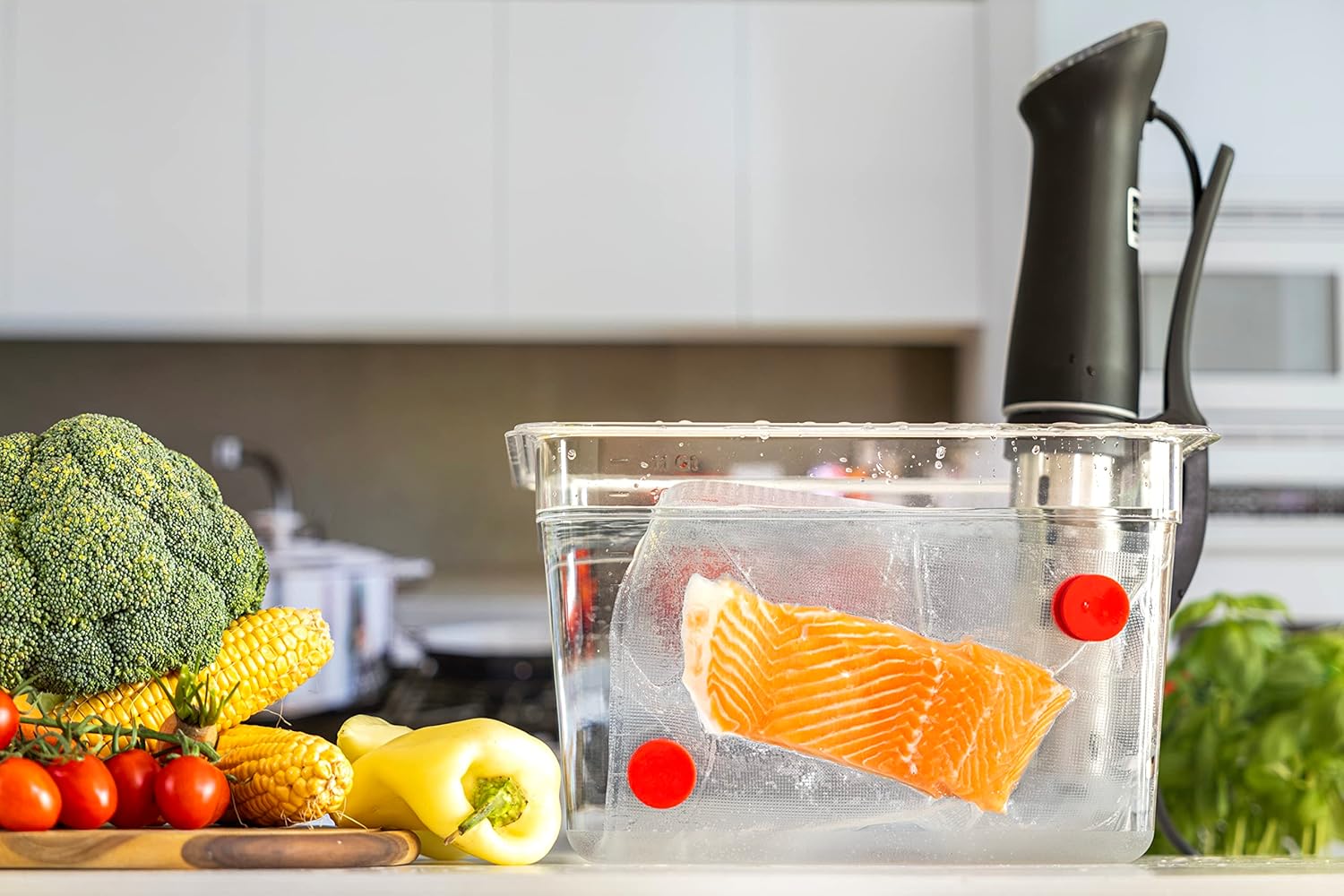 Sous Vide Magnets Set of 8 - F - Sous Vide Immersion ulasan dan harga