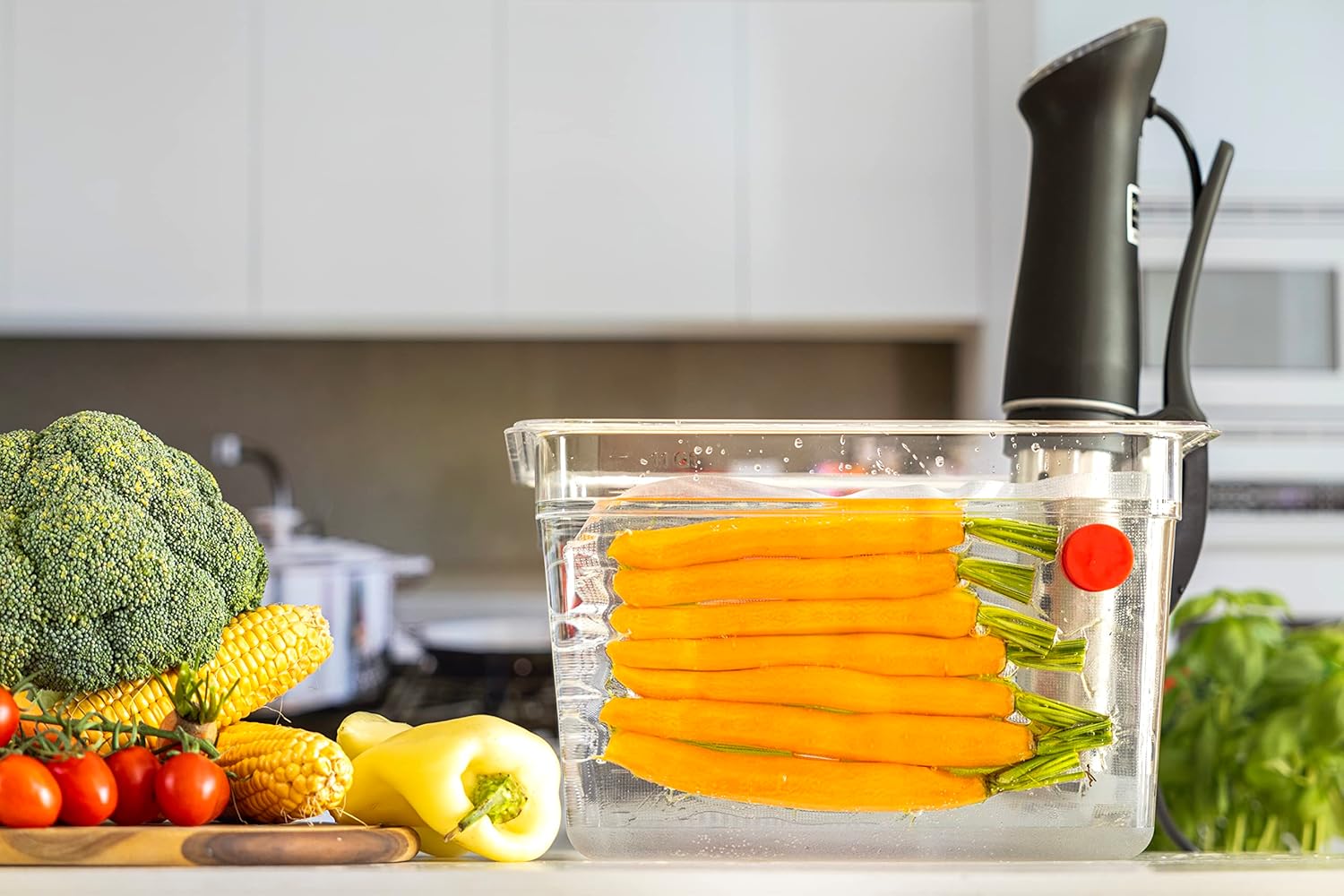 Sous Vide Magnets Set of 8 - F - Sous Vide Immersion ulasan dan harga